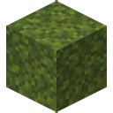 how to make moss carpet minecraft