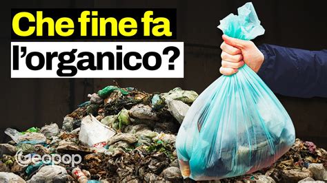 Biometano E Compost Dai Rifiuti Organici Come Avviene Il Riciclo Dell