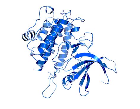 Rsk Inhibitor Bix Opnme Boehringer Ingelheim