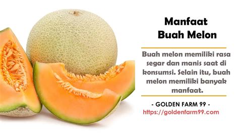 Inilah Manfaat Buah Melon Untuk Kesehatan Dan Kecantikan Golden Farm