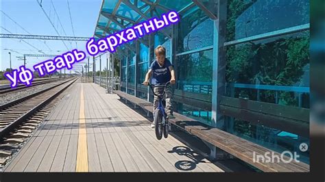🤟 уста Чаки - YouTube