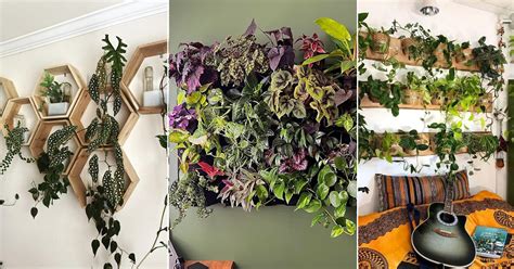 20 DIY Plant Wall Ideas for a Contemporary Decor | Indoor Garden Web