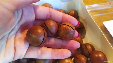 Орехи DONA NUTS Макадамия в скорлупе - «Десертные орешки с ароматом ...