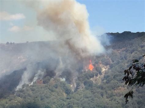 Ambiente Riapre Al Pubblico Oasi Degli Astroni Dopo Gli Incendi Estivi