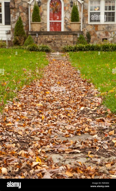 Fall colors in Lookout Mountain Georgia Stock Photo - Alamy