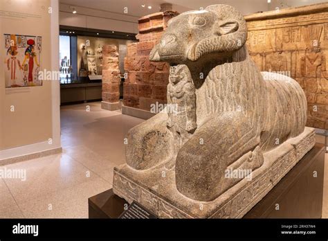 Interior Of The Ashmolean Museum Oxford UK Stock Photo Alamy