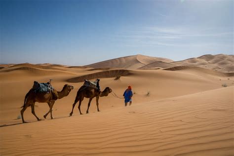 Experience Camel Riding in The Sahara Desert Morocco