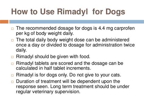 Rimadyl for Dogs