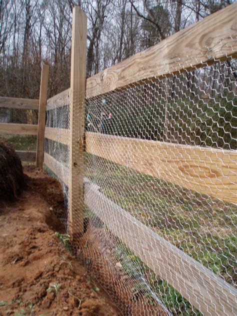 New College Farm Program: Rabbit Proof Fence