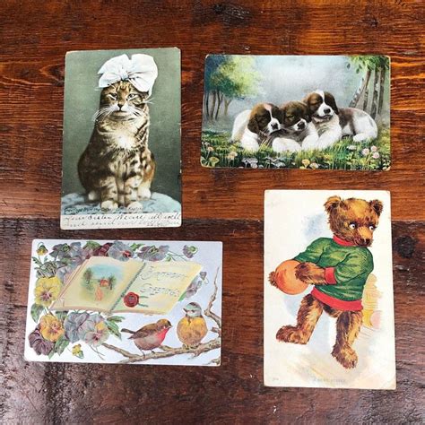 Vintage Animal Postcards - Set of 4