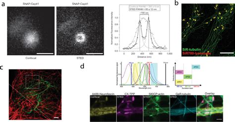 Figure 1 From Fluorogenic Probes For Super Resolution Microscopy