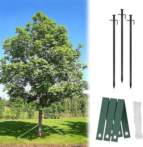 Heavy Duty Steel Tree Stake Kits Tree Staking And