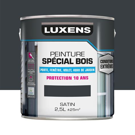 Peinture Bois Ext Rieur Ral Leroy Merlin