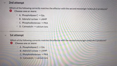 Solved Nd Attempt Which Of The Following Correctly Matches Chegg