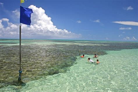 Playa De Paripueira Tour De D A Getyourguide