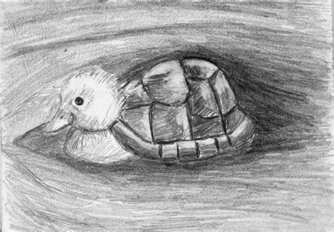 Turtle Duck Pencil Drawing Hybrid Animals Series