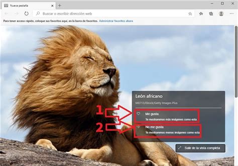 Activar O Desactivar Imagen Del Día En Microsoft Edge 2025