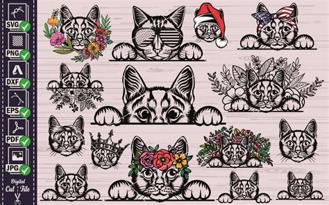 Black Cat Svg Floral Cat Graphic By Pixelworld Creative Fabrica