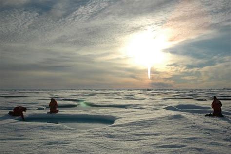 Global Warming is Greening the Arctic Tundra | Climate Change | Live ...