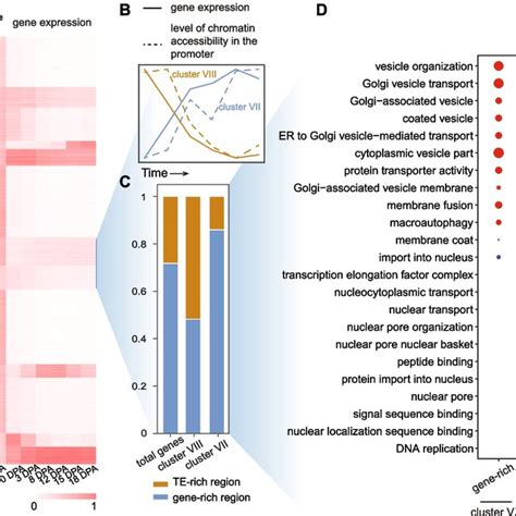 Genome Wide Mapping Of Chromatin Accessibility And Histone Modification