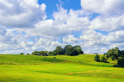 Pasture Land | Stock image | Colourbox