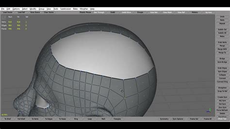 Mayora Timelpase Head Retopology In Topogun Youtube