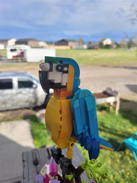 Just Finished The 3 In 1 Parrot R Lego