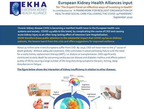 EKHA Contribution To The Hearing Of The Expert Panel On Effective Ways