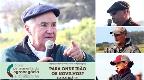 Para Onde Ir O Os Novilhos Professor Piva Lobato E Pecuaristas Deram