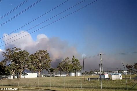 Sydney Bushfire More Than 100 Firefighters Battle Blaze Daily Mail