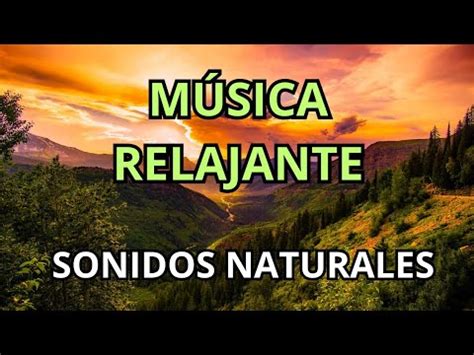 Sonidos De La Naturaleza Y M Sica Relajante Para La Mente Y El Alma