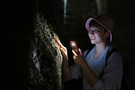 Paris Catacombs Tour 2024 • Best Deal Online