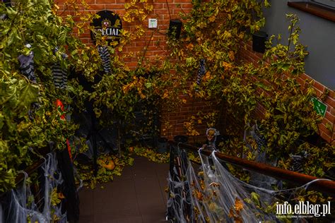 Zdjęcia Halloween zdobywa coraz więcej zwolenników Zobacz jak bawili