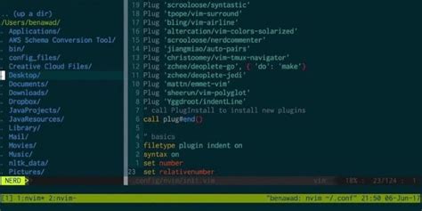 How To Install Neovim On Linux Mint