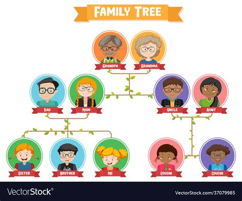 Identify Each Feature In The Diagram Which Depicts The Gener