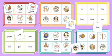 Body Bingo Esl Body Parts Bingo Game Teacher Made