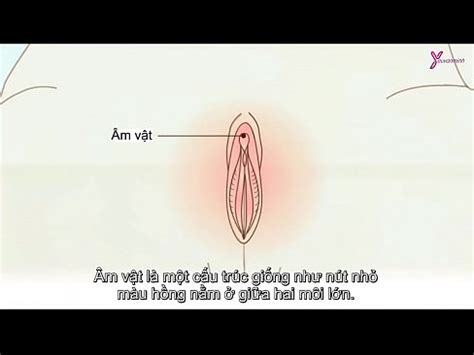 siêu ẳng kỹ thuật kích thích phụ nữ ạt cực khoái bằng tay XVIDEOS