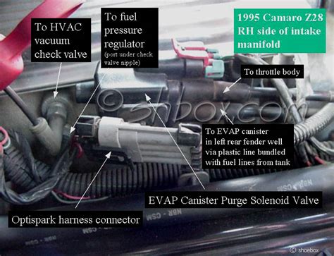 Evap Canister Purge Solonoid Valve Info Ls1lt1 Forum Lt1 Ls1