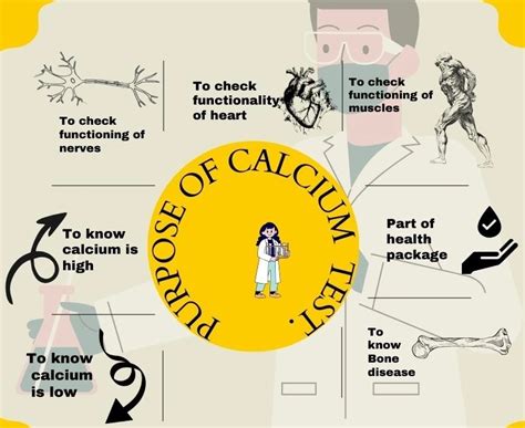 Calcium Test Price, Report & Procedure | Mediyaar Healthcare