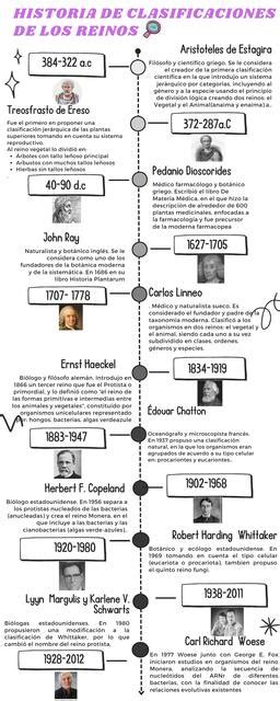 Infograf A Linea Del Tiempo Historia De Los Reinos Her Lara Udocz