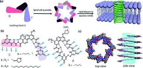 Helical Supramolecular Polymer Nanotubes With Wide Lumen For Glucose