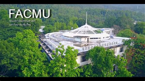 Chiang Mai University Logo