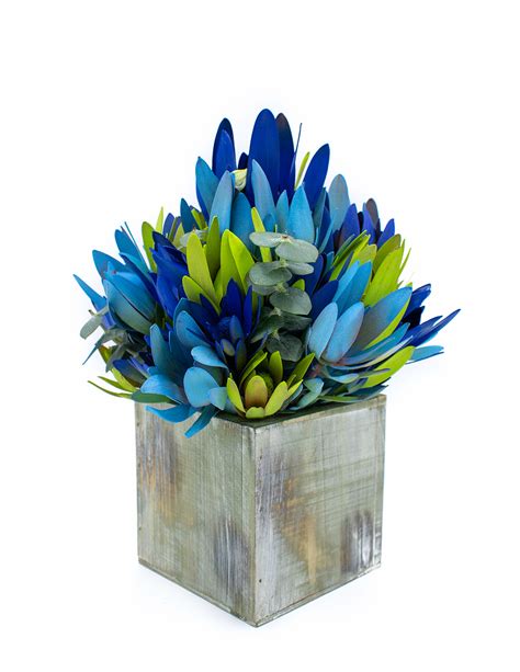 Protea Baskets Archives Vertical Garden Solutions