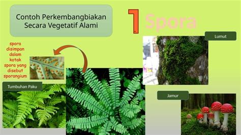 Perkembangbiakan Tumbuhan Secara Generatif Dan Vegetatif Pptx