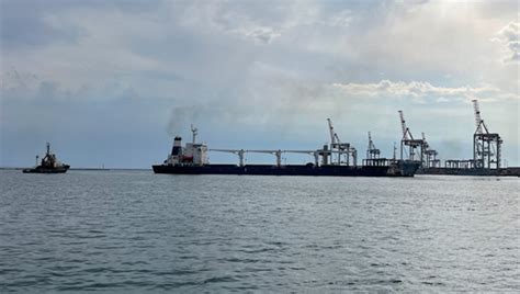 Imo Welcomes First Ship Departure Under Black Sea Grain Initiative