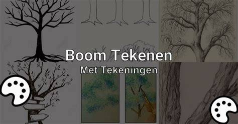 Boom Tekenen Met Tekeningen