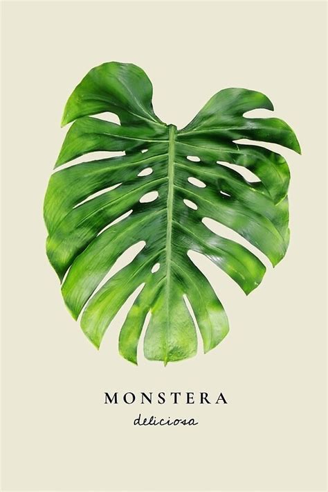 Monstera Print Monstera Wall Art Monstera Leaf Art Monstera Art Print Monstera Art