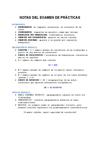 Notas Del Examen De Practicas Pdf