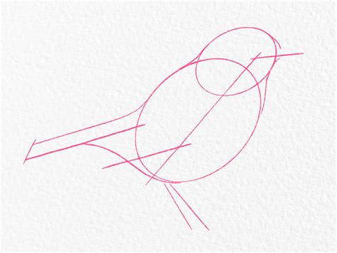 How To Draw A Bird Easy Step By Step For Beginners - Infoupdate.org