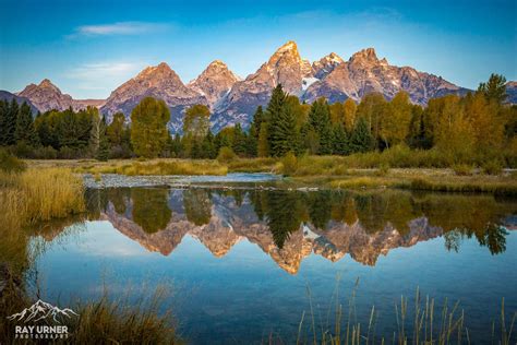 Nature Portfolio Ray Urner Photography